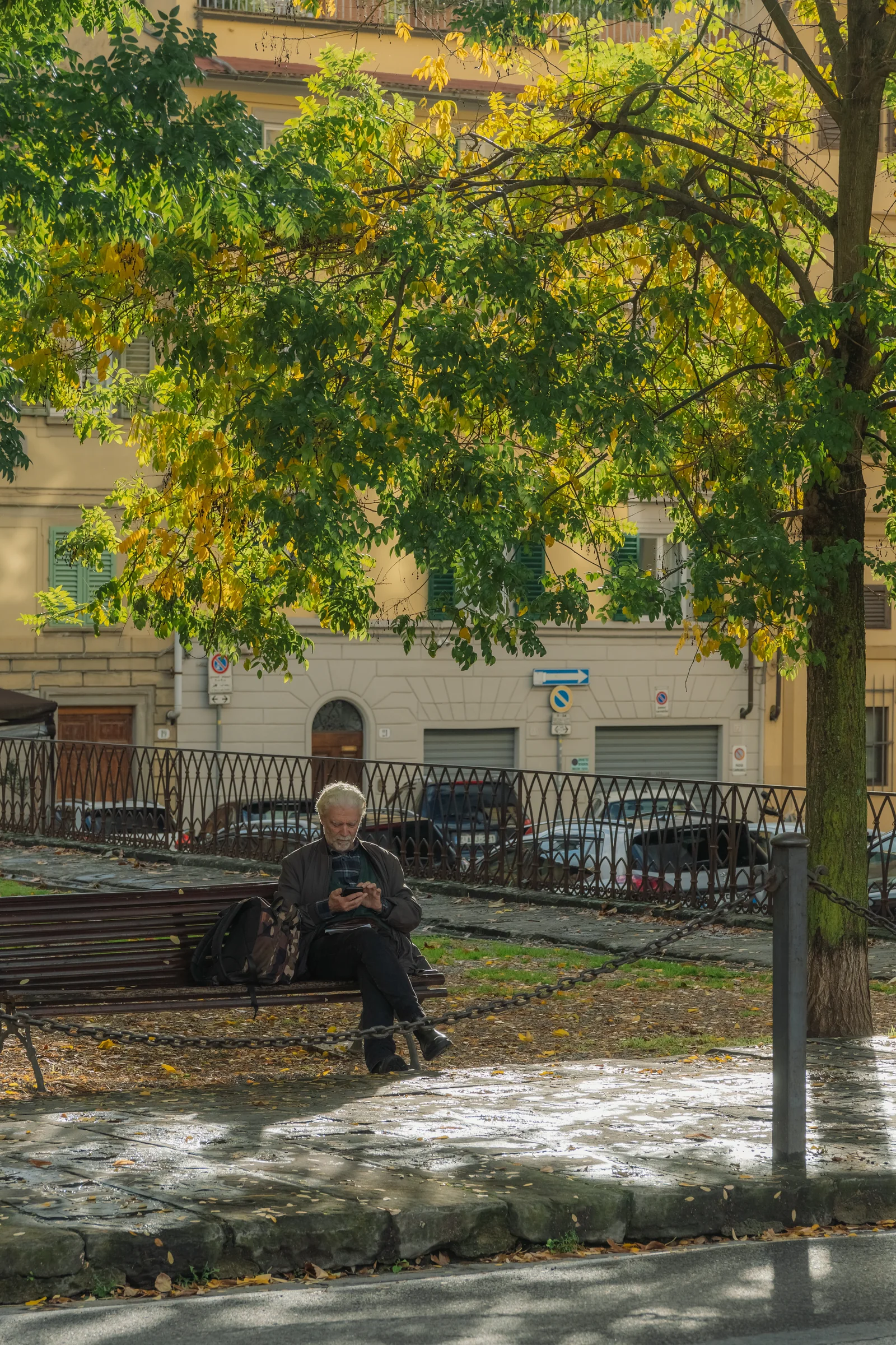 Elderly man on a park bench under a turning autumn tree, checking his phone