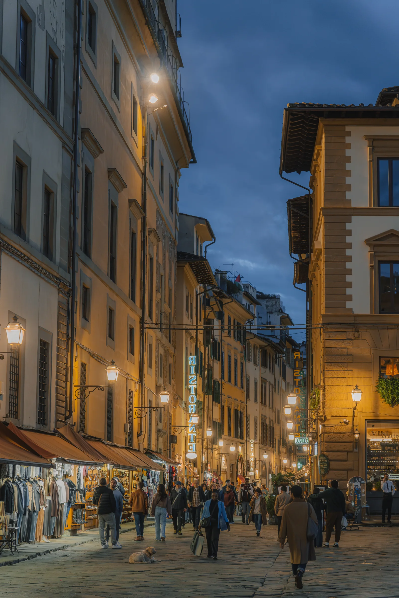 A crowded centro storico street at blue hour, lit lanterns overhead and a small dog on the cobbles