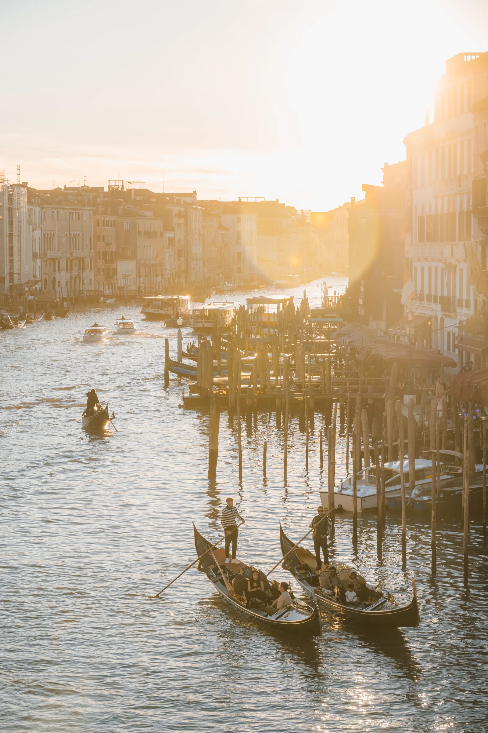 Gondolas and vaporetti on the Grand Canal as the sun sinks low between the palazzi