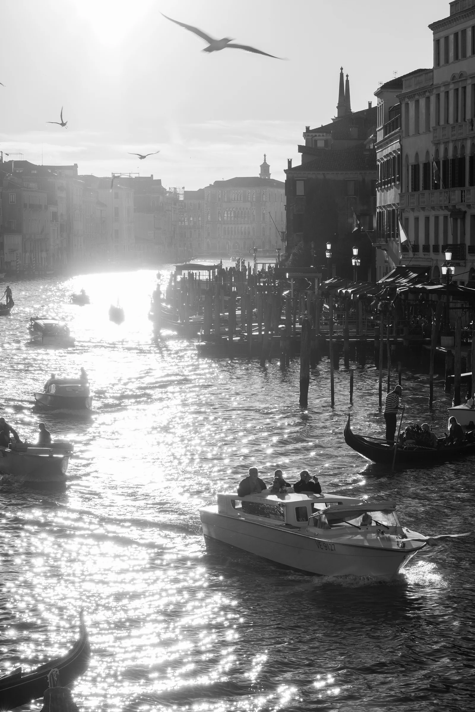 Backlit black-and-white view of the Grand Canal, gulls overhead and a water taxi cutting the glittering water