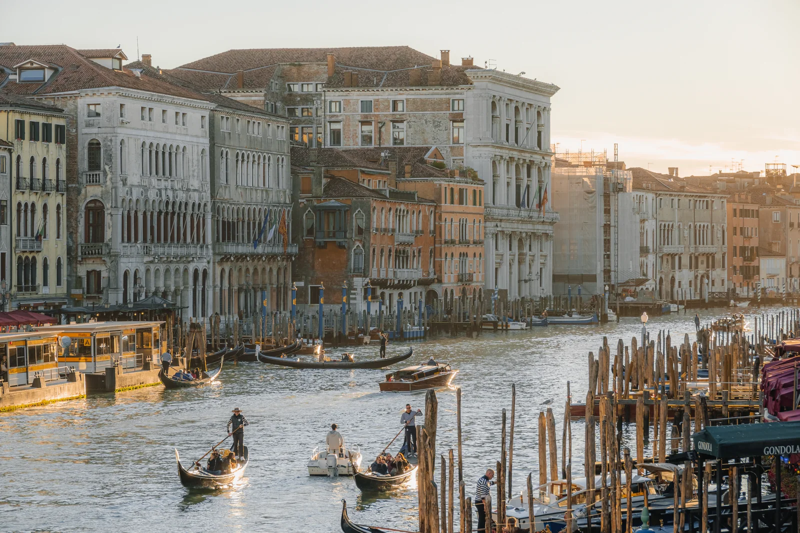 Gondoliers working the Grand Canal near Rialto in warm late-afternoon light