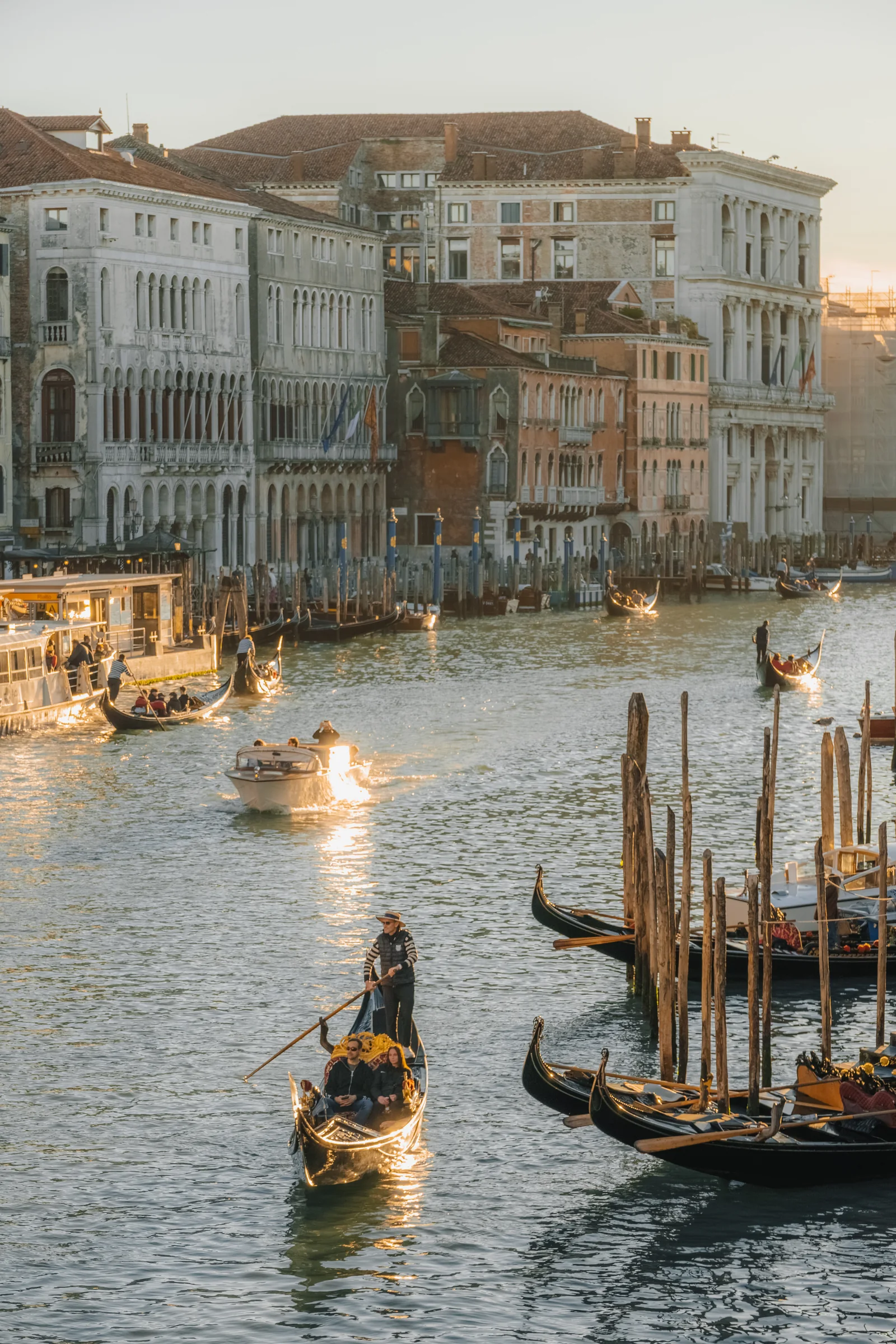 A gondola gliding the Grand Canal at golden hour past rows of moored gondolas