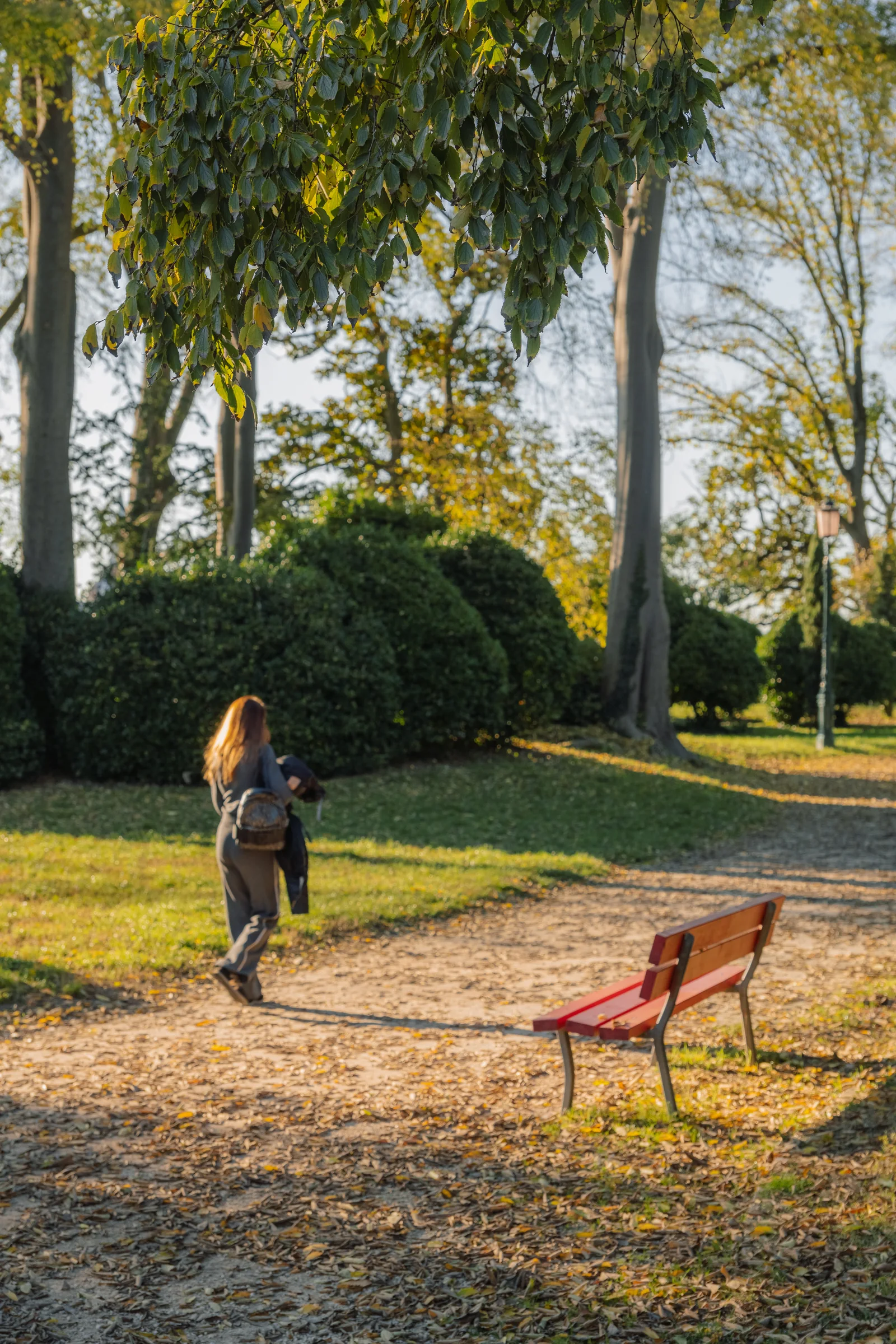 A woman walking a leaf-strewn path through a quiet park in autumn light
